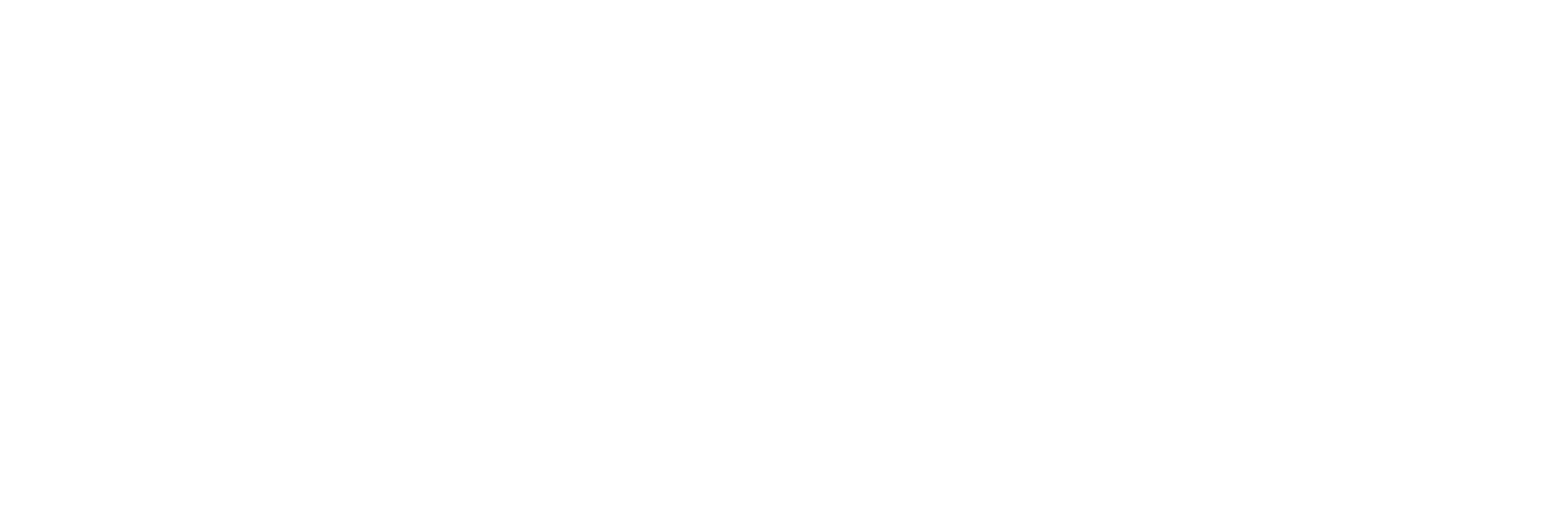 Traveldyn Logo